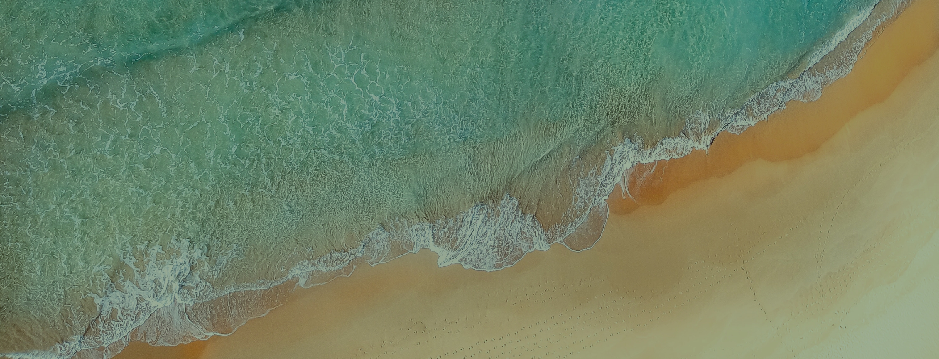 GEOTA