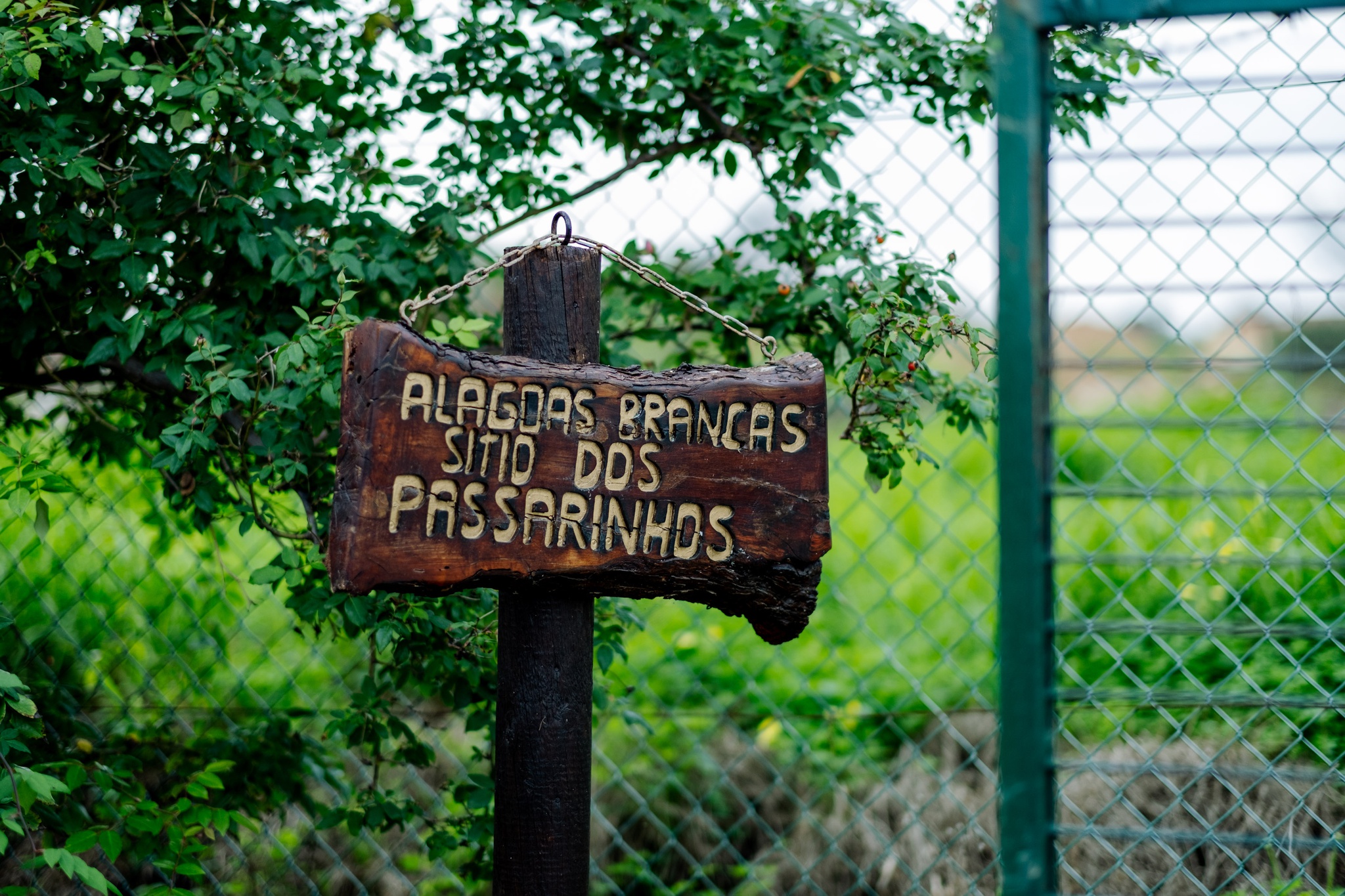 PÚBLICO | Ambientalistas pedem ao Governo para proteger Alagoas Brancas de um retail park