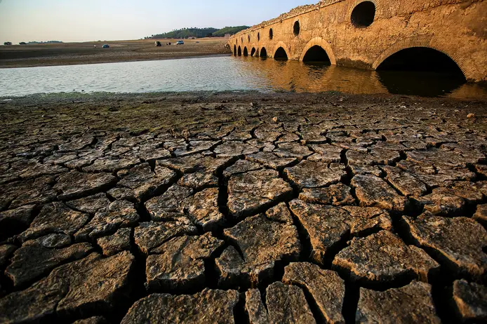 EXPRESSO | Ambientalistas enviam carta ao Governo para que mostre uma posição ambiciosa na Agenda Estratégica da UE