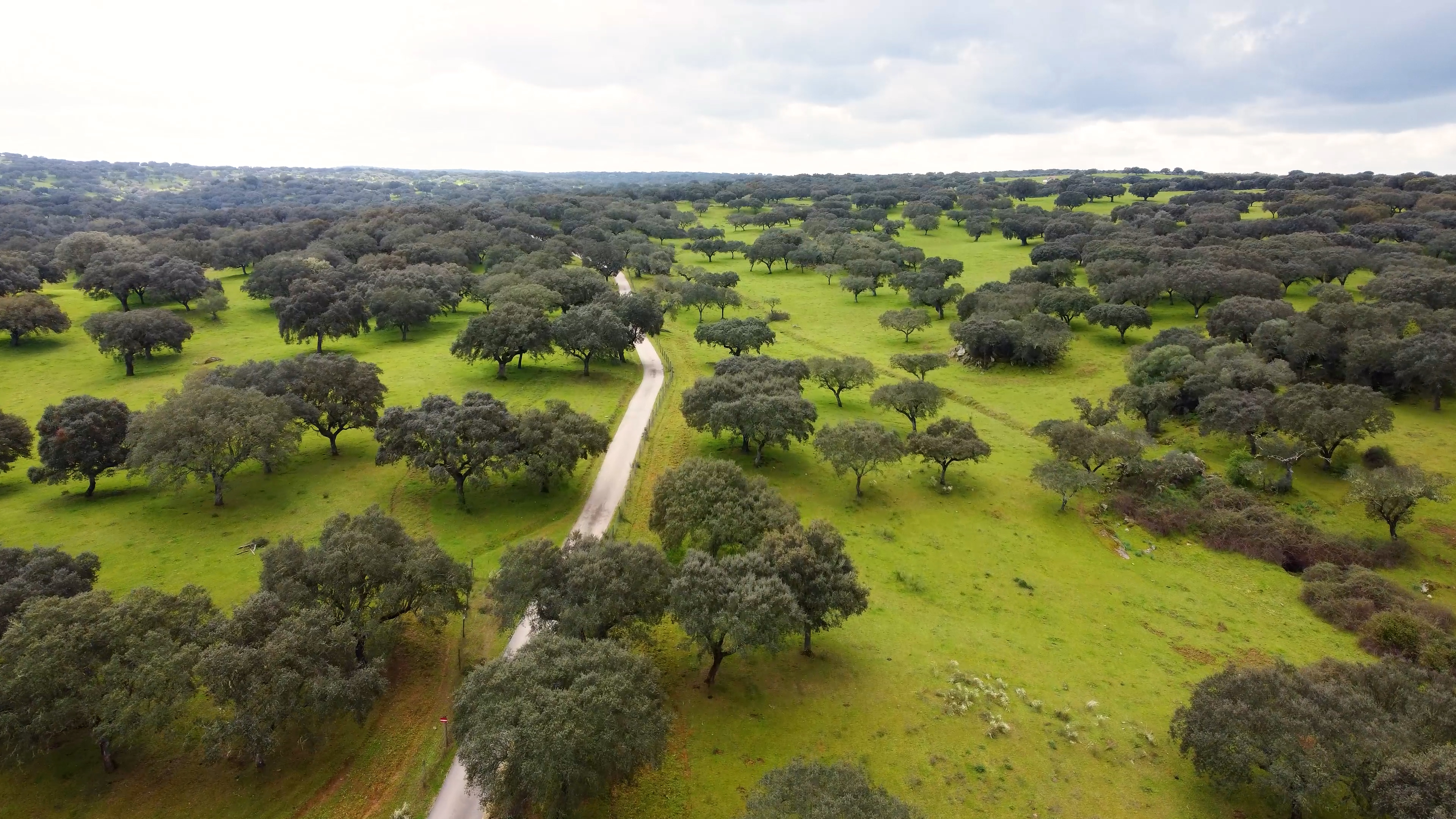 Coligação C6 manifesta posição contra a Barragem do Pisão