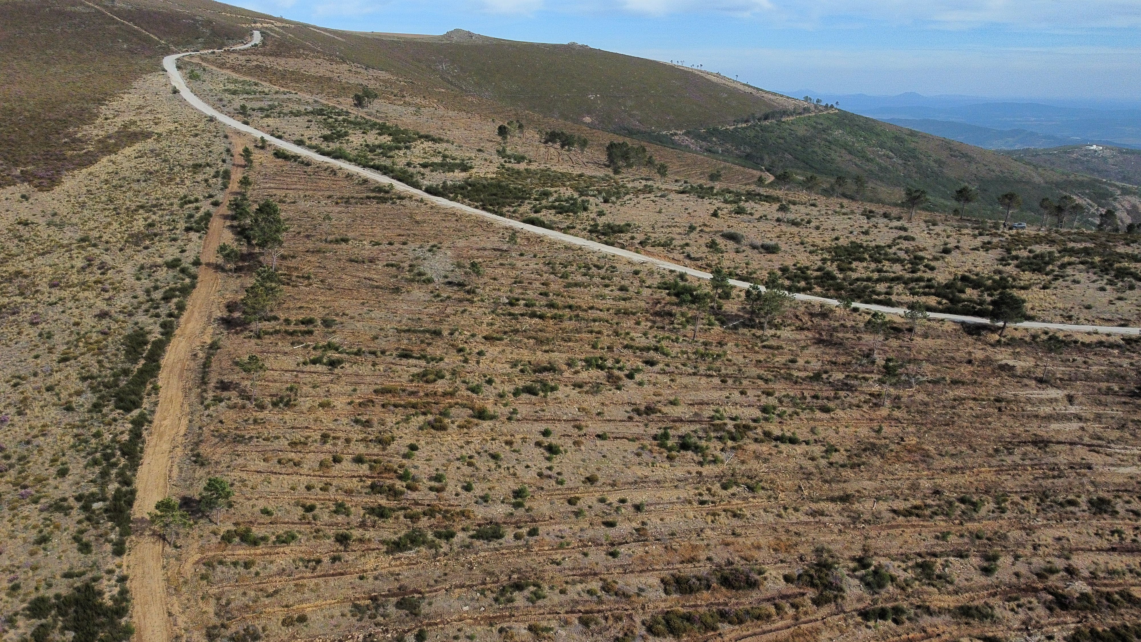 GEOTA - Renature Estrela