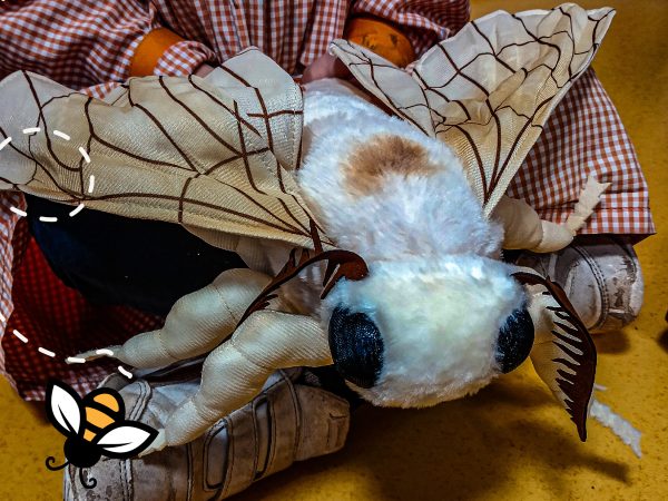 GEOTA - Os Insetos são nossos Amigos