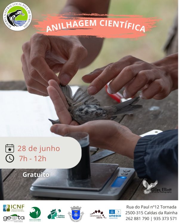 GEOTA - Sessão de anilhagem científica