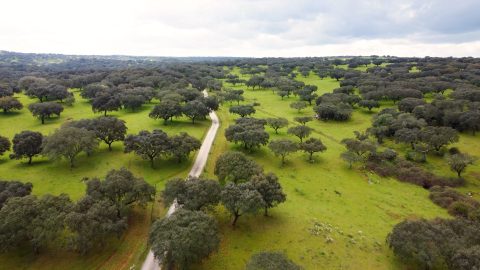 GEOTA - Associações ambientais saúdam embargo da Barragem do Pisão