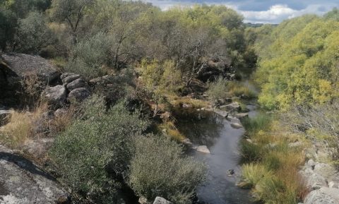 GEOTA - Associações ambientalistas saúdam suspensão provisória da Barragem do Pisão