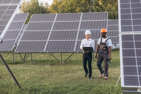 GEOTA - GEOTA rejeita central solar Sophia