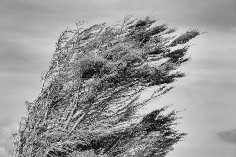 GEOTA - GEOTA defende soluções naturais e comunidades de energia no PTRR