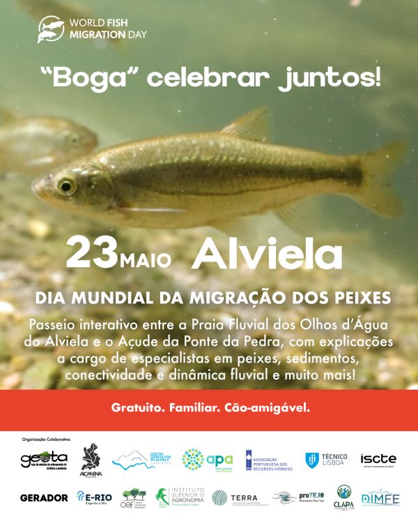 GEOTA - Dia Mundial da Migração dos Peixes