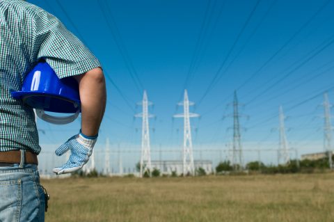 GEOTA - Algarve: nova vaga de projetos eólicos  e solares ameaça biodiversidade